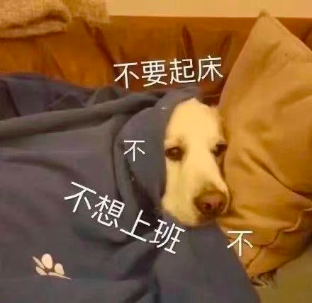黄石要下雪了?接下来的天气是……