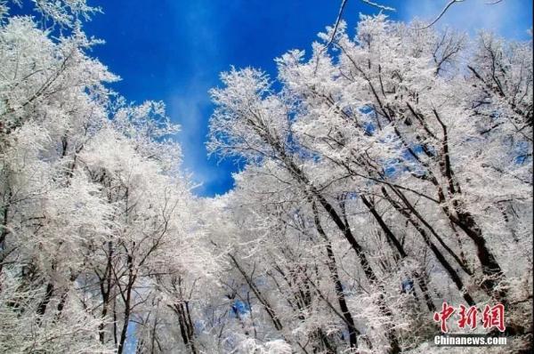 今天“大雪”！甘肃接下来的天气……