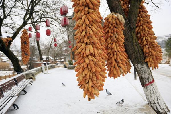 今天“大雪”！甘肃接下来的天气……