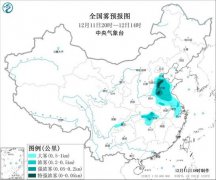 全国8省区有大雾 山东西部