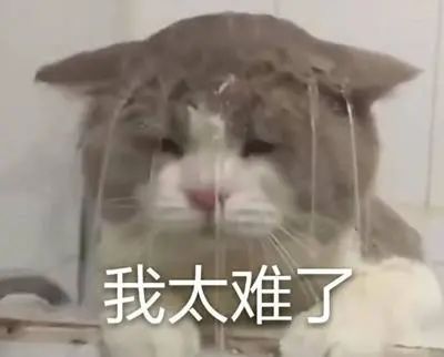 “双十二”冷空气即将速冻大江南北!近20个省会级城市气温创新低