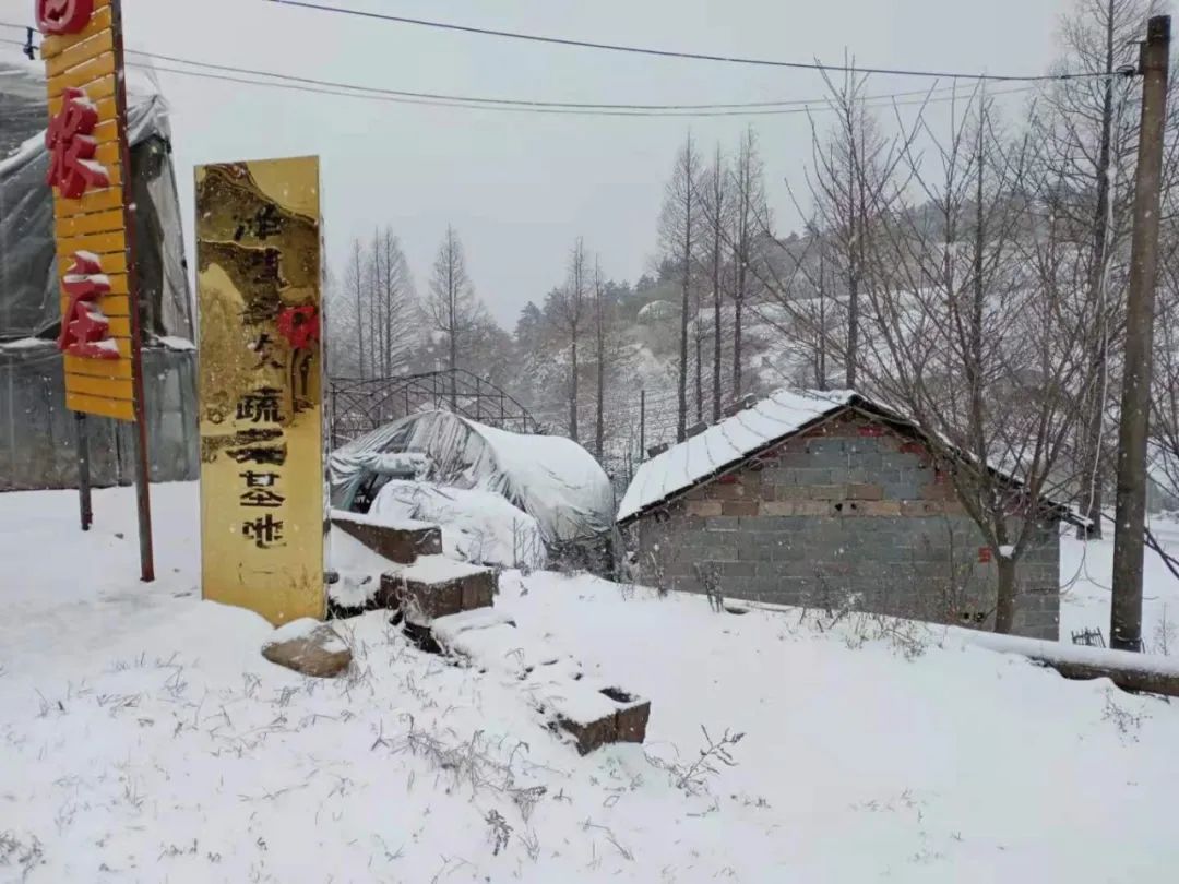 今日山区已披银装 |接下来雨雪天气如何发展?戳这里!!
