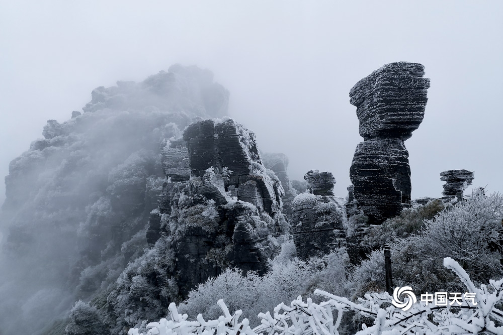 好美！雪后的梵净山变身“黑白世界”