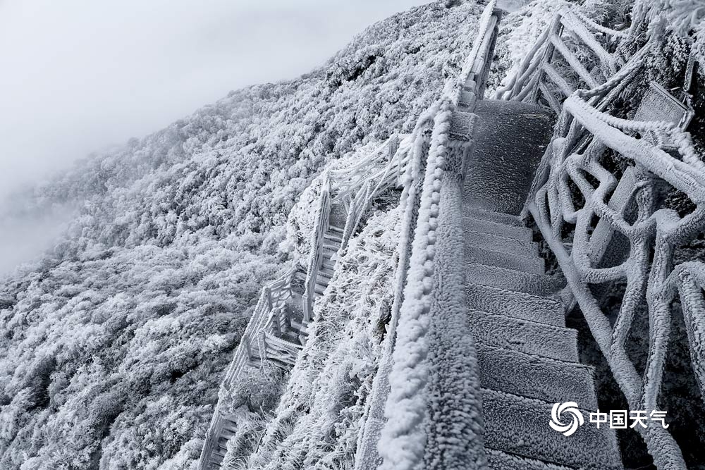 好美！雪后的梵净山变身“黑白世界”