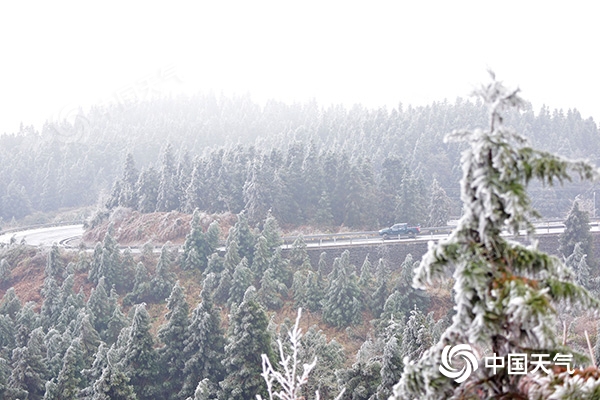 重庆今起三天阴雨为主 山区局地有降雪