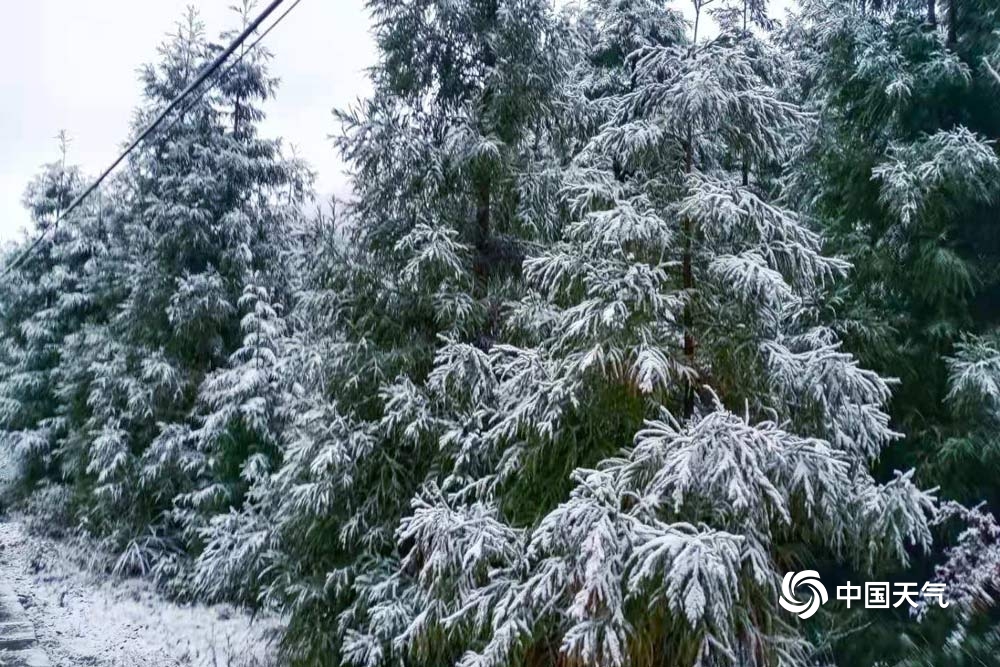 强冷空气影响贵州现降雪 多地道路结冰影响出行