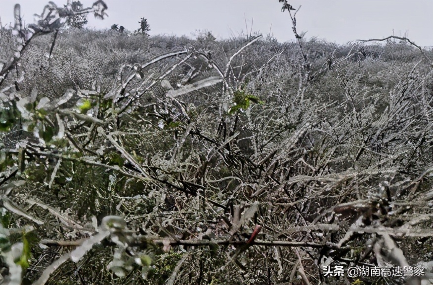 未来三天湖南大部维持低温阴雨(雪)天气!这抹“雪警”,一直守护您的出行平安!