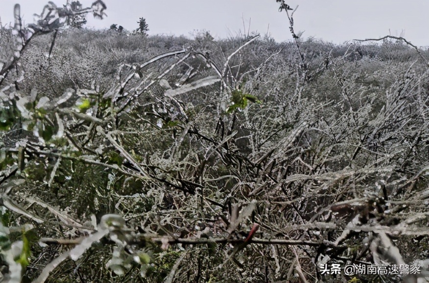 未来三天湖南大部维持低温阴雨（雪）天气！这抹“雪警”，一直守护您的出行平安！