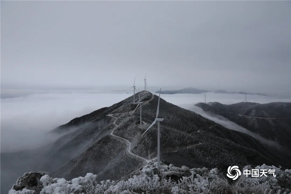 浙江云和白鹤尖现雾凇美景 美若仙境