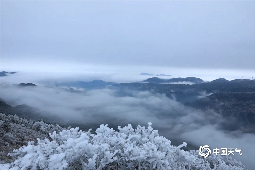 浙江云和白鹤尖现雾凇美景 美若仙境