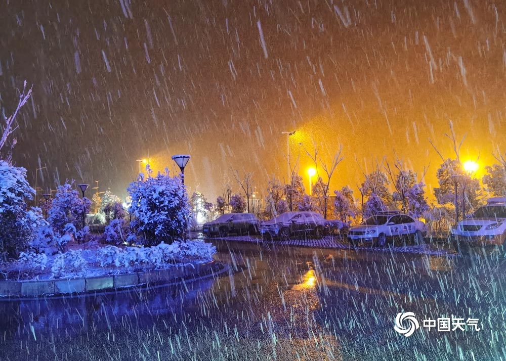 贵州六盘水飘起鹅毛大雪 树上积雪好似“棉花糖”