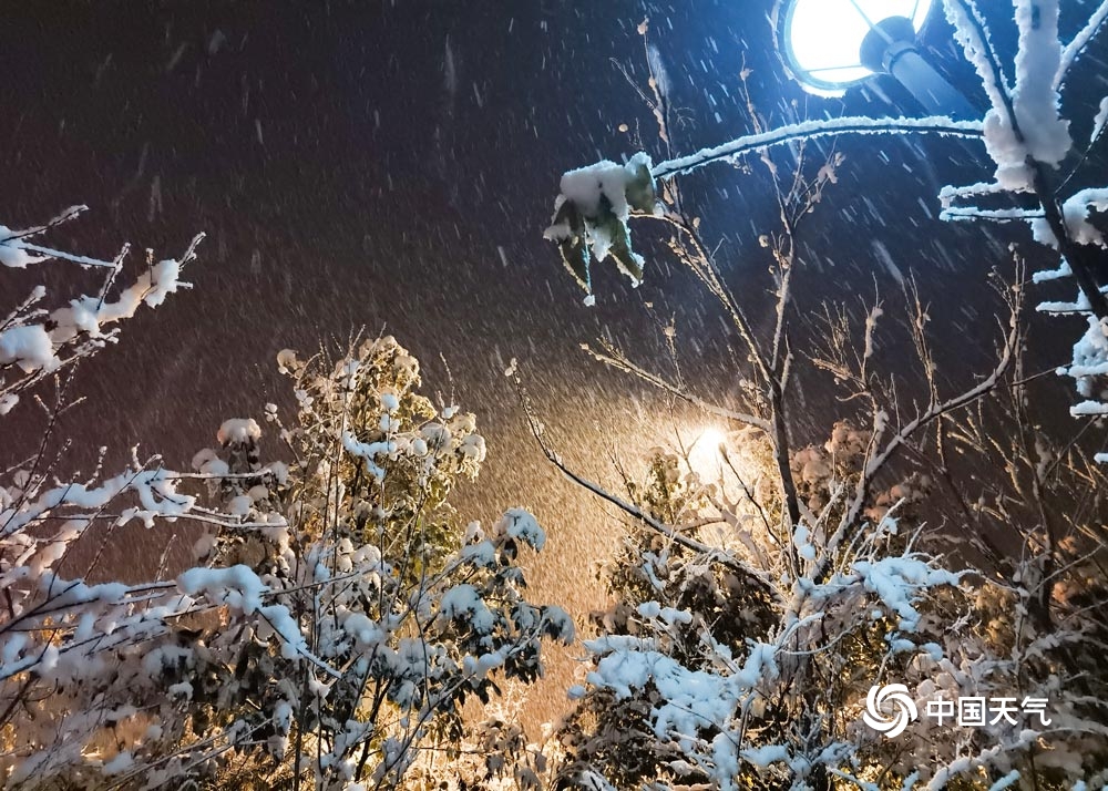 贵州六盘水飘起鹅毛大雪 树上积雪好似“棉花糖”