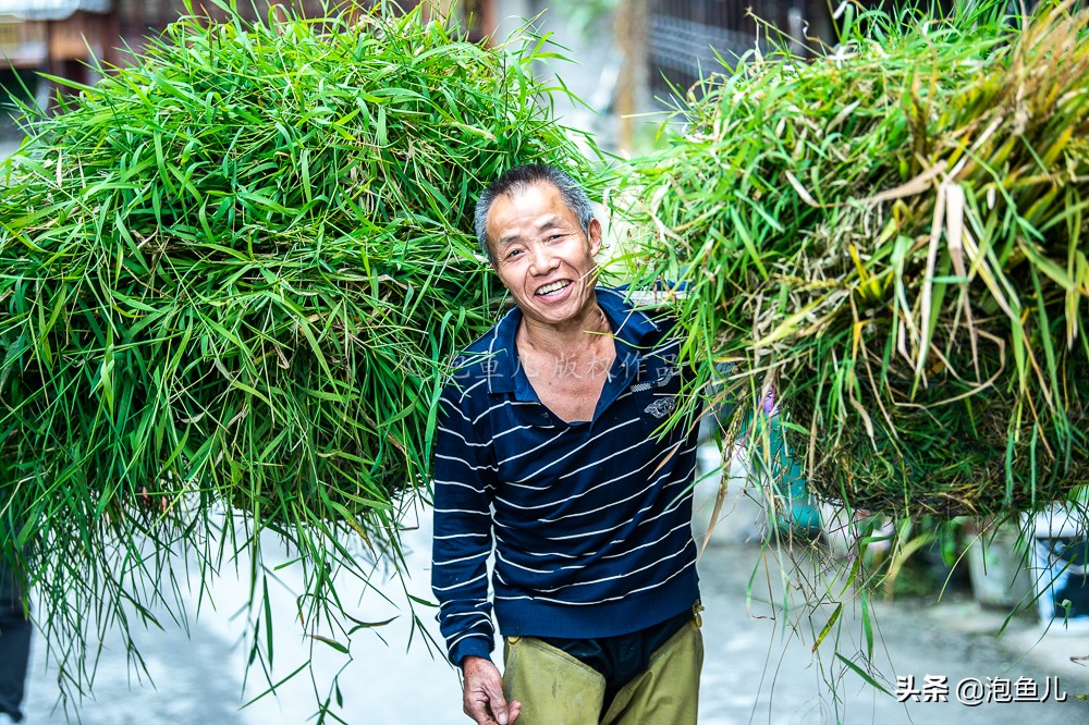 贵州发现中国最大苗寨，一个山头挤了1000多户吊脚楼，太美了