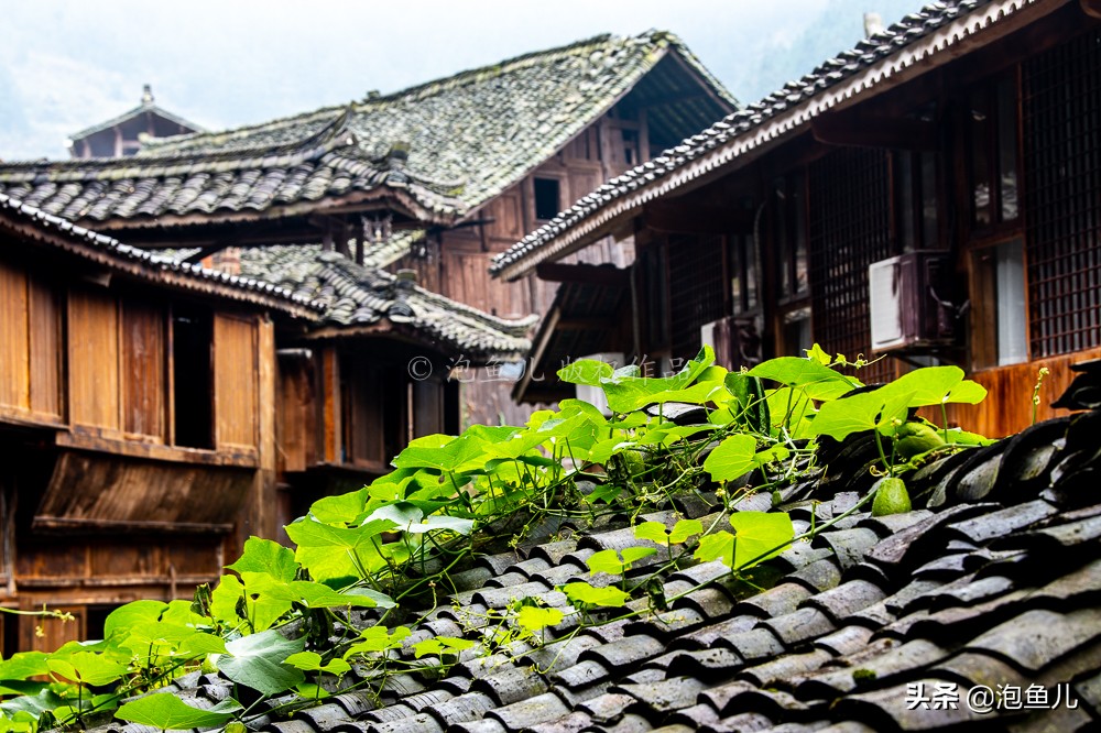 贵州发现中国最大苗寨，一个山头挤了1000多户吊脚楼，太美了