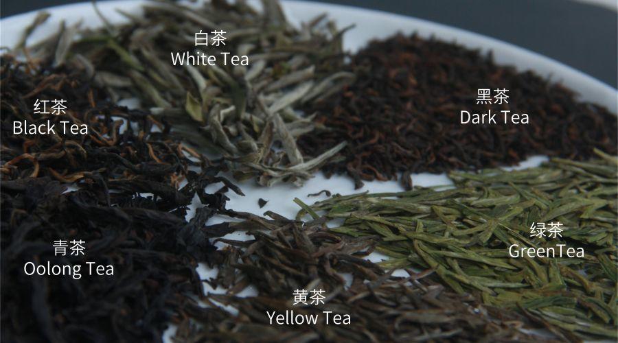 喝茶对人体健康到底有什么「功效」,能代替药物吗?