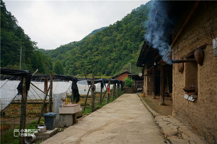 人人仰慕终南山隐士,真实的秦岭山居生活到底什么样?