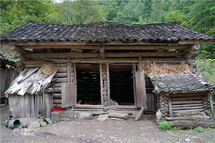 人人仰慕终南山隐士,真实的秦岭山居生活到底什么样?