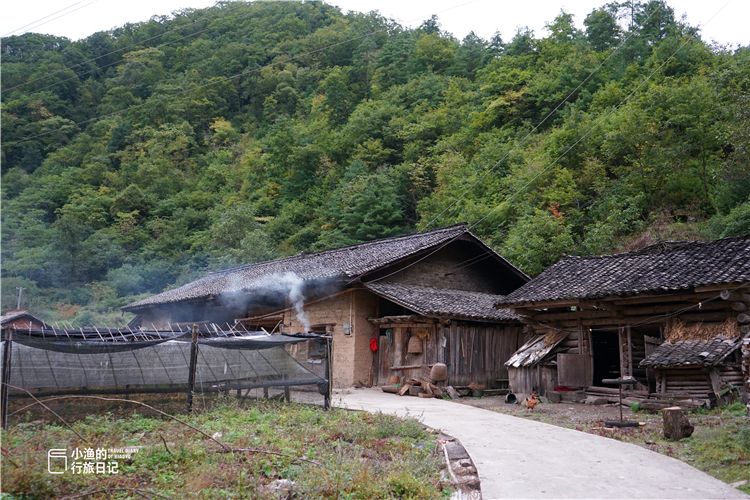 人人仰慕终南山隐士,真实的秦岭山居生活到底什么样?