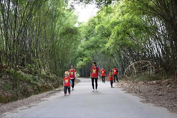 冬游指南：广东美丽乡村休闲旅游行，你值得拥有！