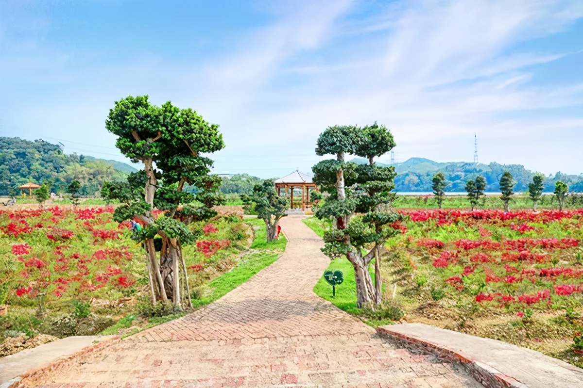 冬游指南:广东美丽乡村休闲旅游行,你值得拥有!