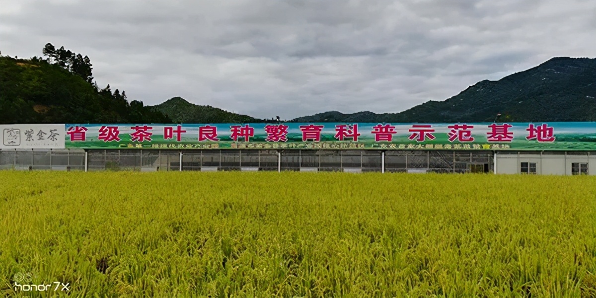 冬游指南:广东美丽乡村休闲旅游行,你值得拥有!