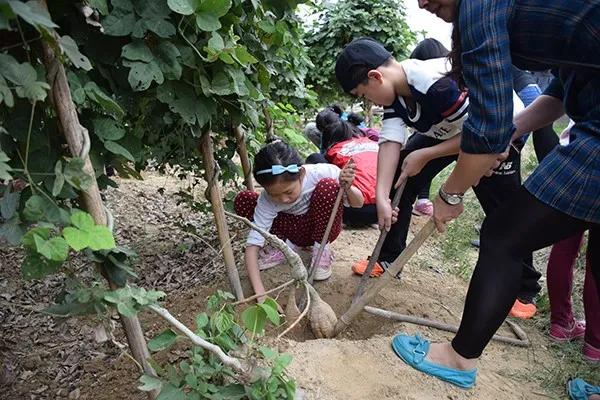 冬游指南:广东美丽乡村休闲旅游行,你值得拥有!