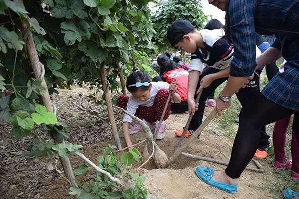 冬游指南：广东美丽乡村休闲旅游行，你值得拥有！