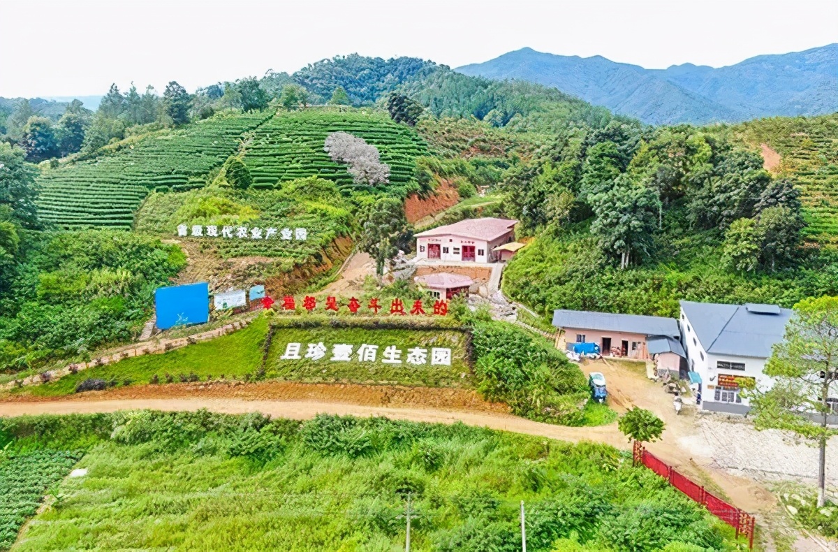 冬游指南:广东美丽乡村休闲旅游行,你值得拥有!