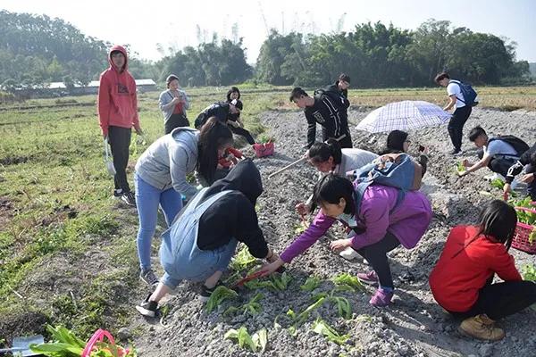 冬游指南：广东美丽乡村休闲旅游行，你值得拥有！