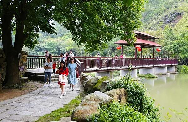 冬游指南:广东美丽乡村休闲旅游行,你值得拥有!
