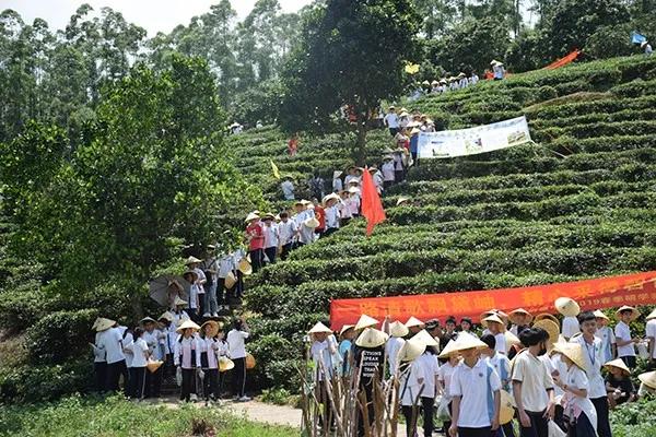 冬游指南：广东美丽乡村休闲旅游行，你值得拥有！