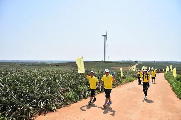 冬游指南：广东美丽乡村休闲旅游行，你值得拥有！