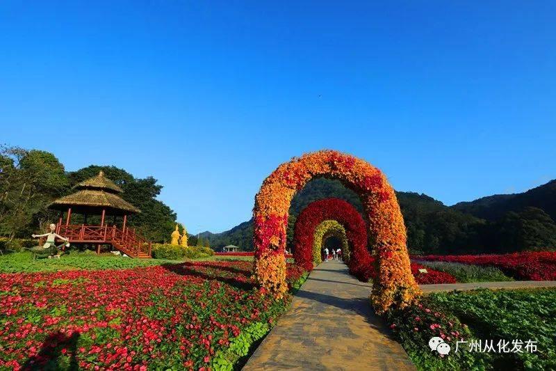 温度记 | 天气回温，太阳露脸，抓紧周日的时间出去浪