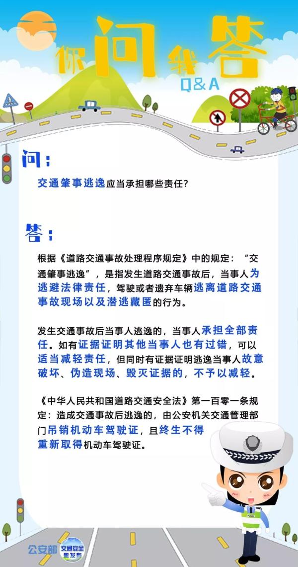 公安交警快速侦破一起交通肇事逃逸案件