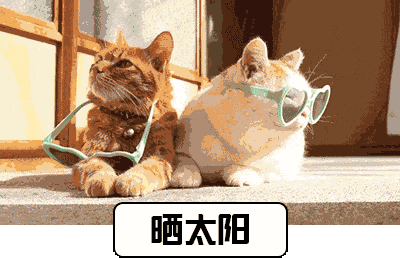 本周天气可能又要大反转 今天又逢冬至 你吃汤圆了吗?