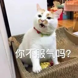 厦门或迎湿冷暴击!今年23号台风科罗旺生成!接下来天气走向……