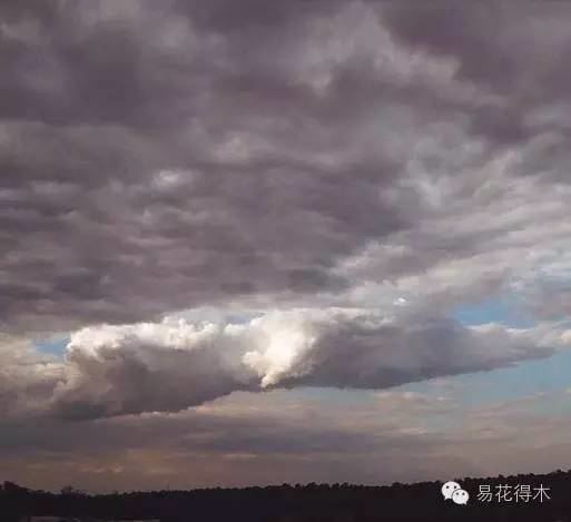 看云识天气，绝对涨姿势