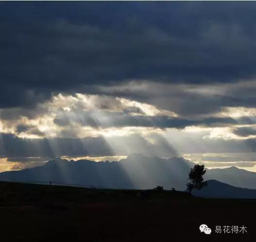 看云识天气，绝对涨姿势