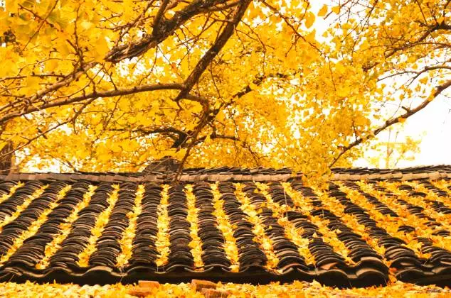 广西这8个地方,去过3个算及格,全去过的太牛了