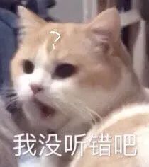 跨年最强寒潮要来了!2021年元旦到底会有多冷?厦门天气将……