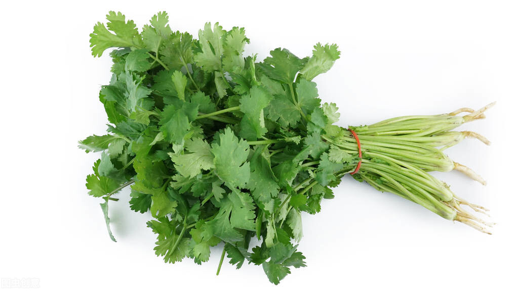 吃香菜的5种好处，你了解吗？不过这3类人，还是少吃为妙