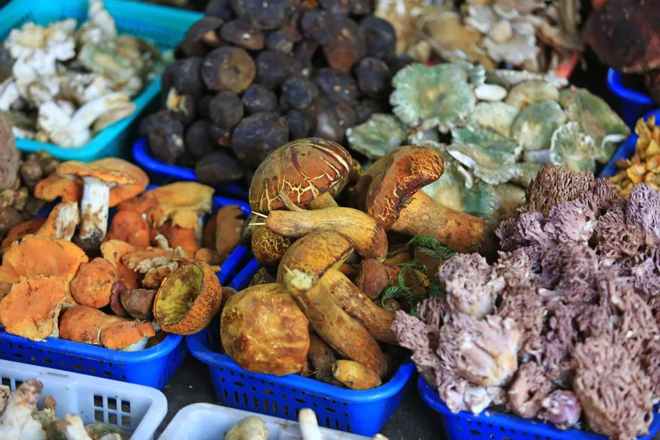 来云南一定要尝的10种美食!