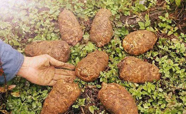 云南各州市美食大集合,全是美味!