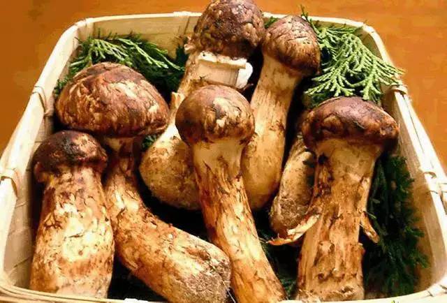 云南各州市美食大集合,全是美味!