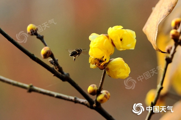 周末华北黄淮陷“霾”伏 南方雨水仍在线