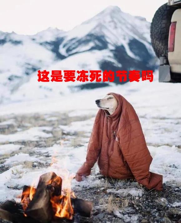 -13℃!大雪!暴雪!9级大风!河南发布重要天气预报