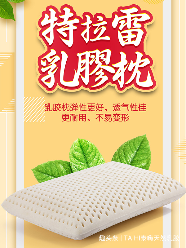 2020-12-24-特拉雷面包枕1.jpg
