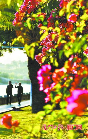 厦门好天气倒计时三天 寒潮今起“发货”最低温或至4℃