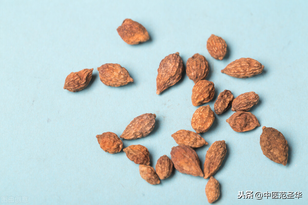 小儿记忆、智力、语言迟缓?分享几则中医益智保健食疗方及推拿法