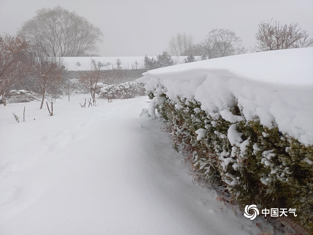 山东多地降雪 淄博潍坊日照现暴雪